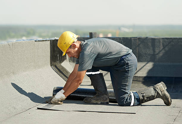 Best Insulation Installation Services in Coconut Creek, FL